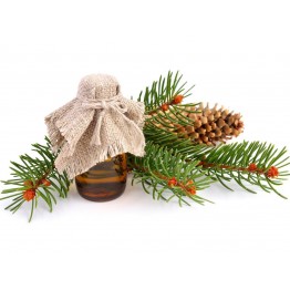 Олія Кедрового горіха